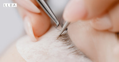 How long do classic or individual lashes last?