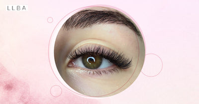 Doll Eye Hybrid-Wimpern: Ein Leitfaden für neue Wimpernstylisten