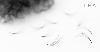 How Do Camellia Eyelashes Help You Earn More?