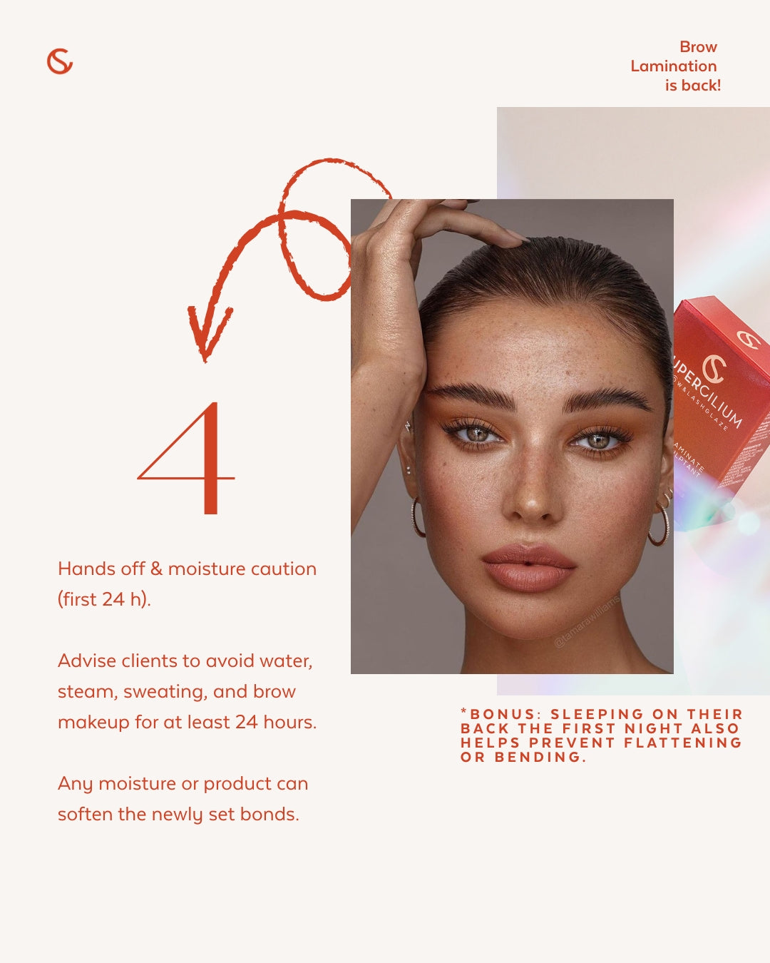 Supercilium No.2 The Laminate