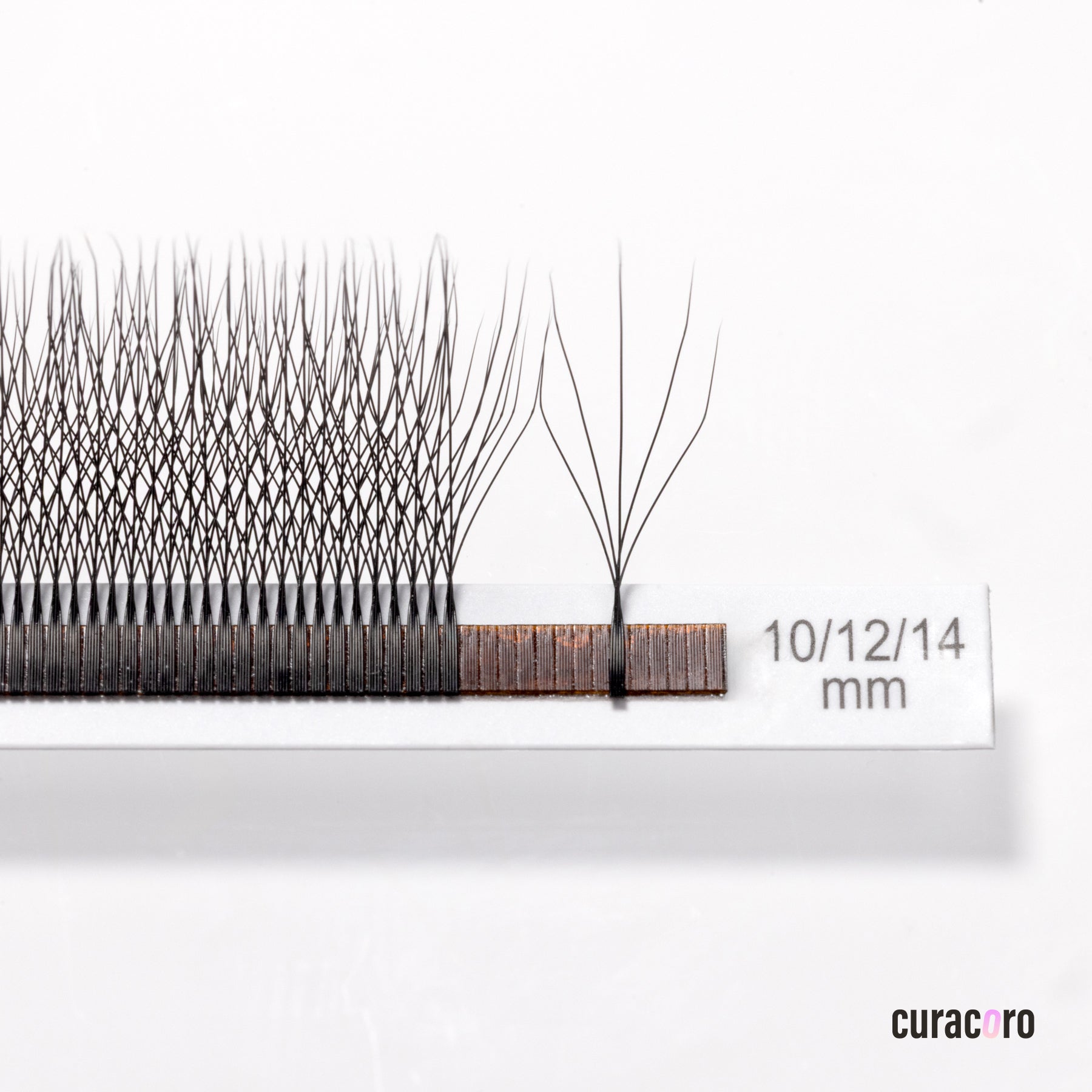 5D Blooming Clover 0.07