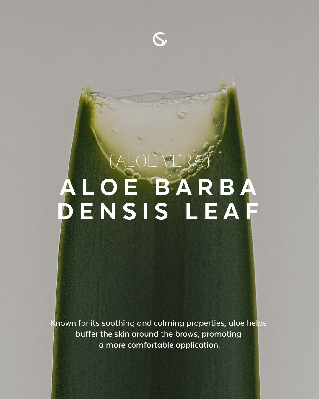 Supercilium Brow Henna Dye - Medium Brown