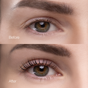 Lash Lift Mastery: From Beginner to Pro! Online Certification (Fundamental + Traditional + Tutorial of Korean Lash Lift Method)