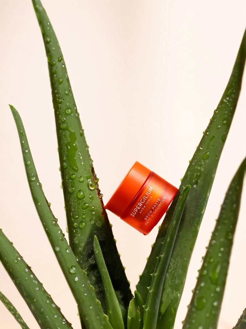 Supercilium Brow Paste