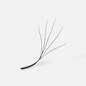 A single black 5D Blooming Clover lash extension with five delicate strands fanning out from a flat base, designed for creating voluminous lash looks.