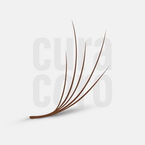 Camellia Promade Fans Loose - Brown