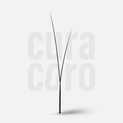 Daisy YY lashes (Textured & Soft-Based Layering)