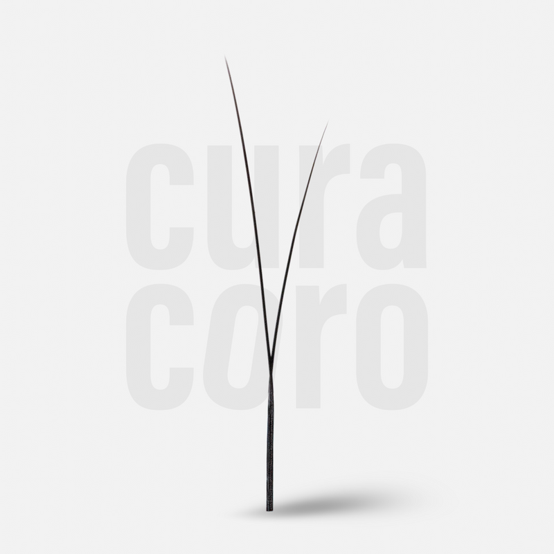 Daisy YY lashes (Textured & Soft-Based Layering)