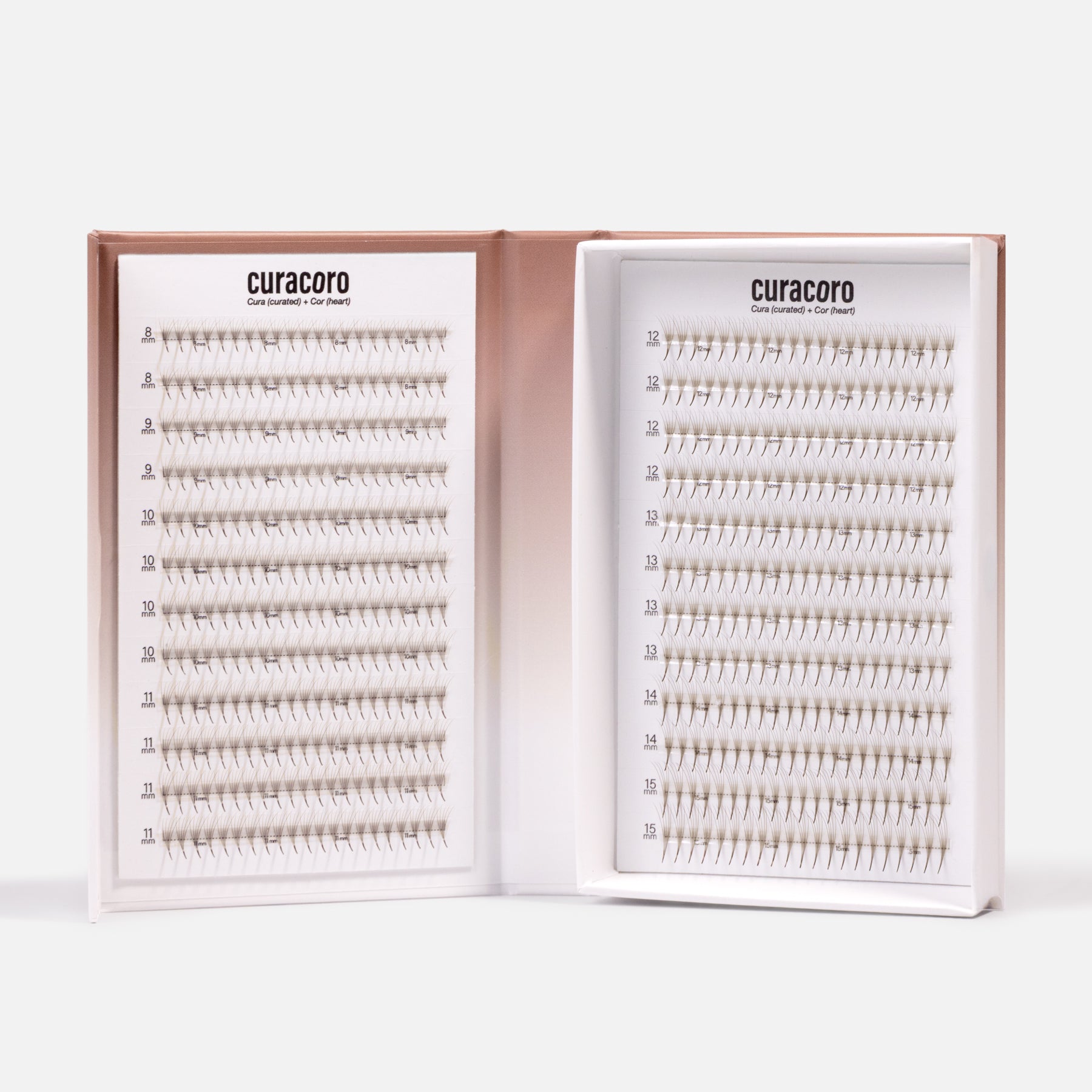 Dark Brown Lashfolio Narrow Promade Fans 5D (504 fans)