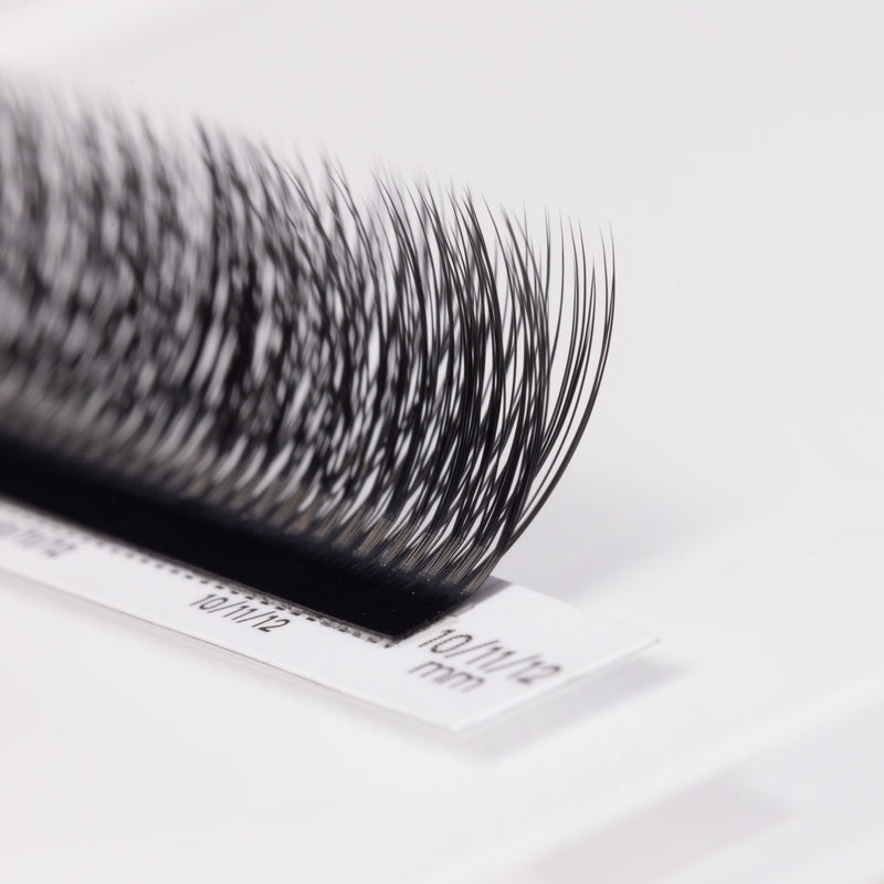 5D Multi-Layer Lash Fans 0.07 | Pre-Layered Easy Fans for Dimensional Lash Sets – Curacoro