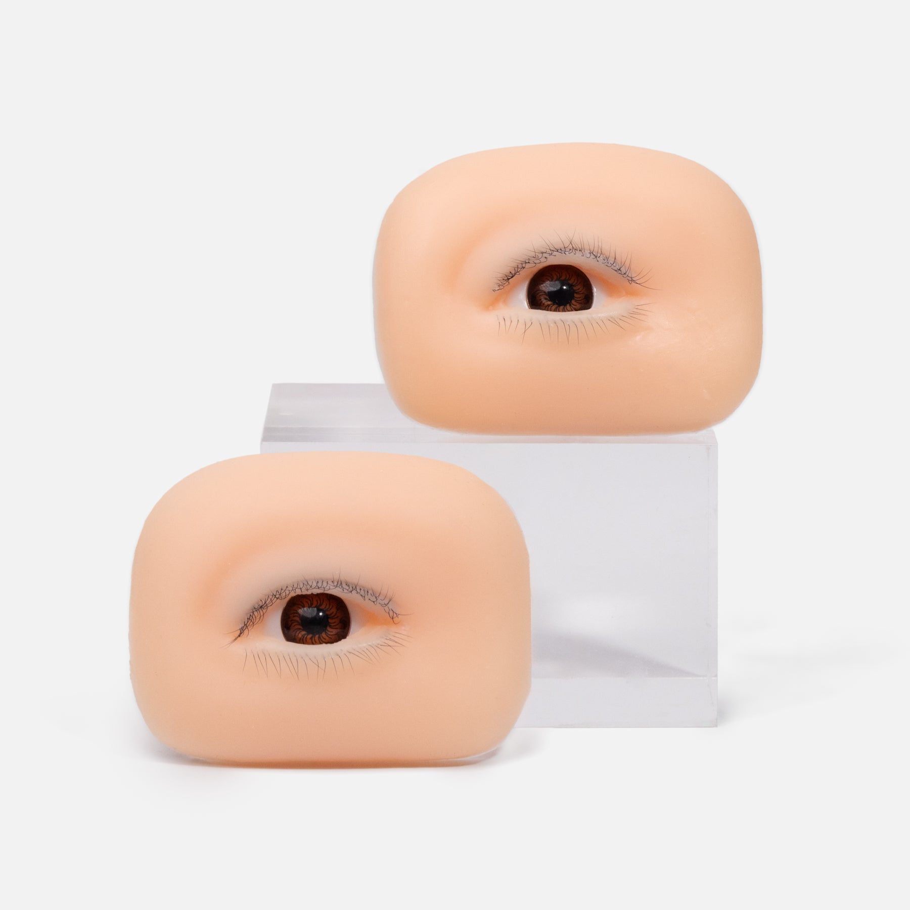 Eye Practice Model for Lash Training | Realistic Eyelash Simulation – Curacoro
