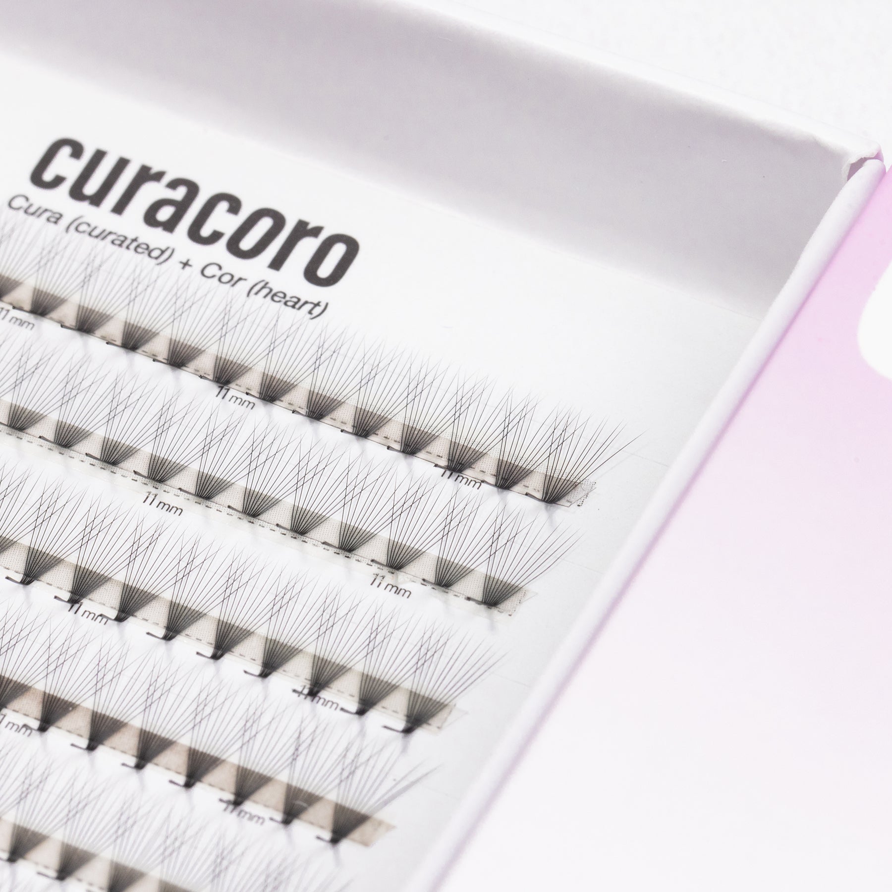 LashFolio Promade fans 10D 0.03 - L curl (408 fans)