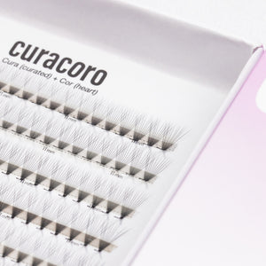 LashFolio Promade Fans 10D 0.03 - L Curl (480 fans)