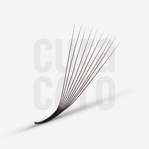 LashFolio Promade Fans 10D 0.03 - M Curl (480 fans)