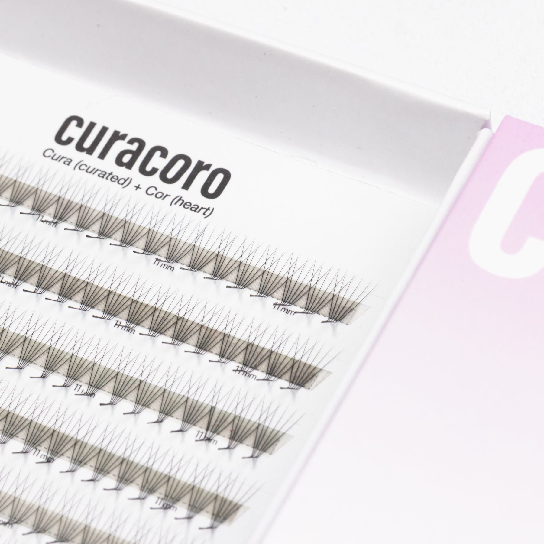 LashFolio Promade fans 6D 0.07 - L curl (504 fans)
