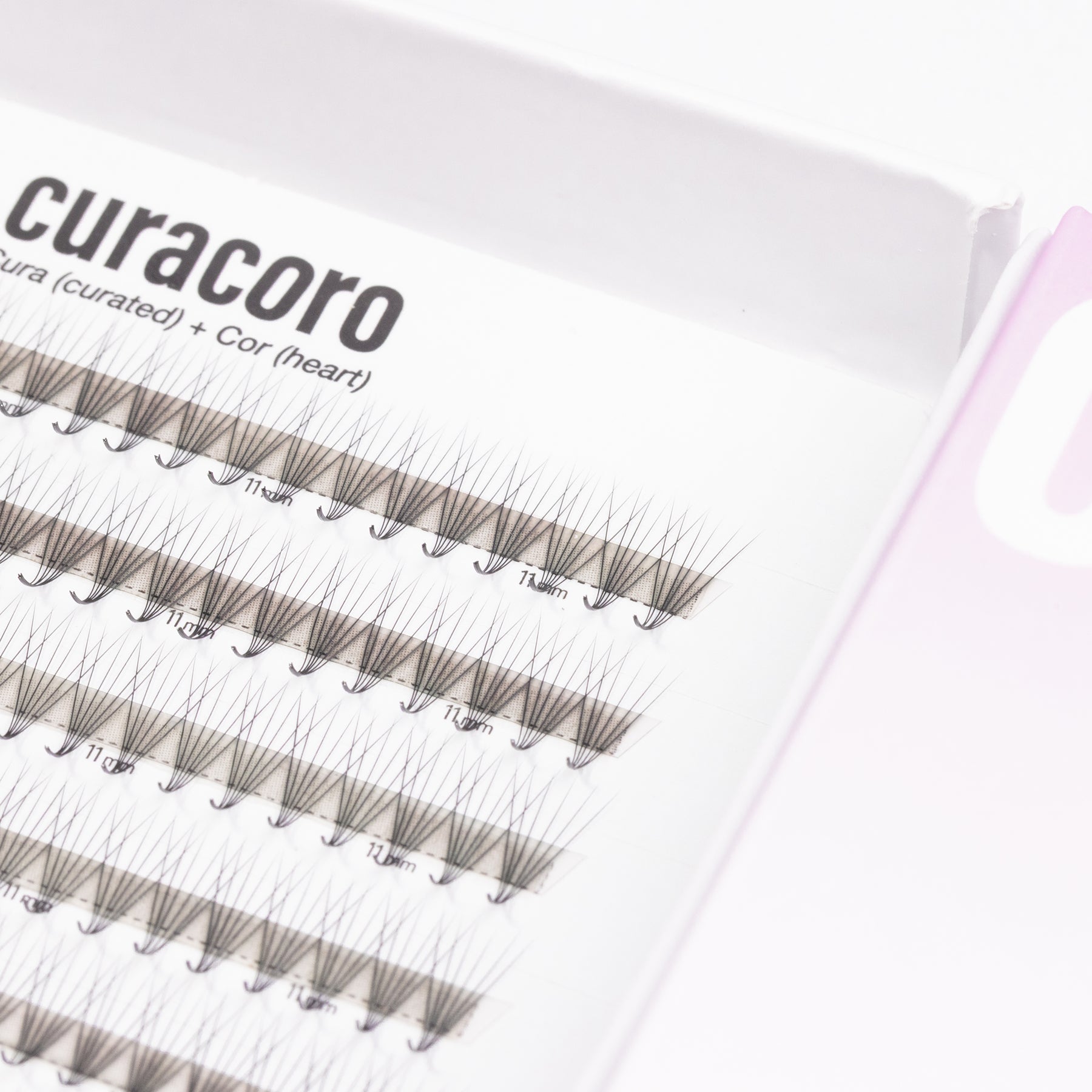 LashFolio Promade fans 6D 0.07 - L curl (504 fans)