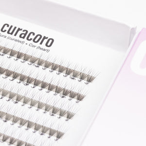 LashFolio Promade Fans 6D 0.07 - M Curl (504 fans)
