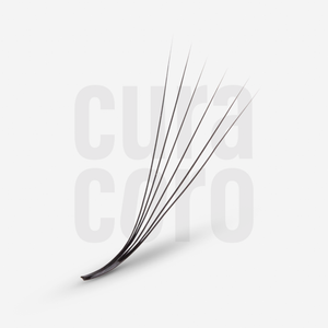 LashFolio Promade Fans 6D 0.07 - M Curl (504 fans)