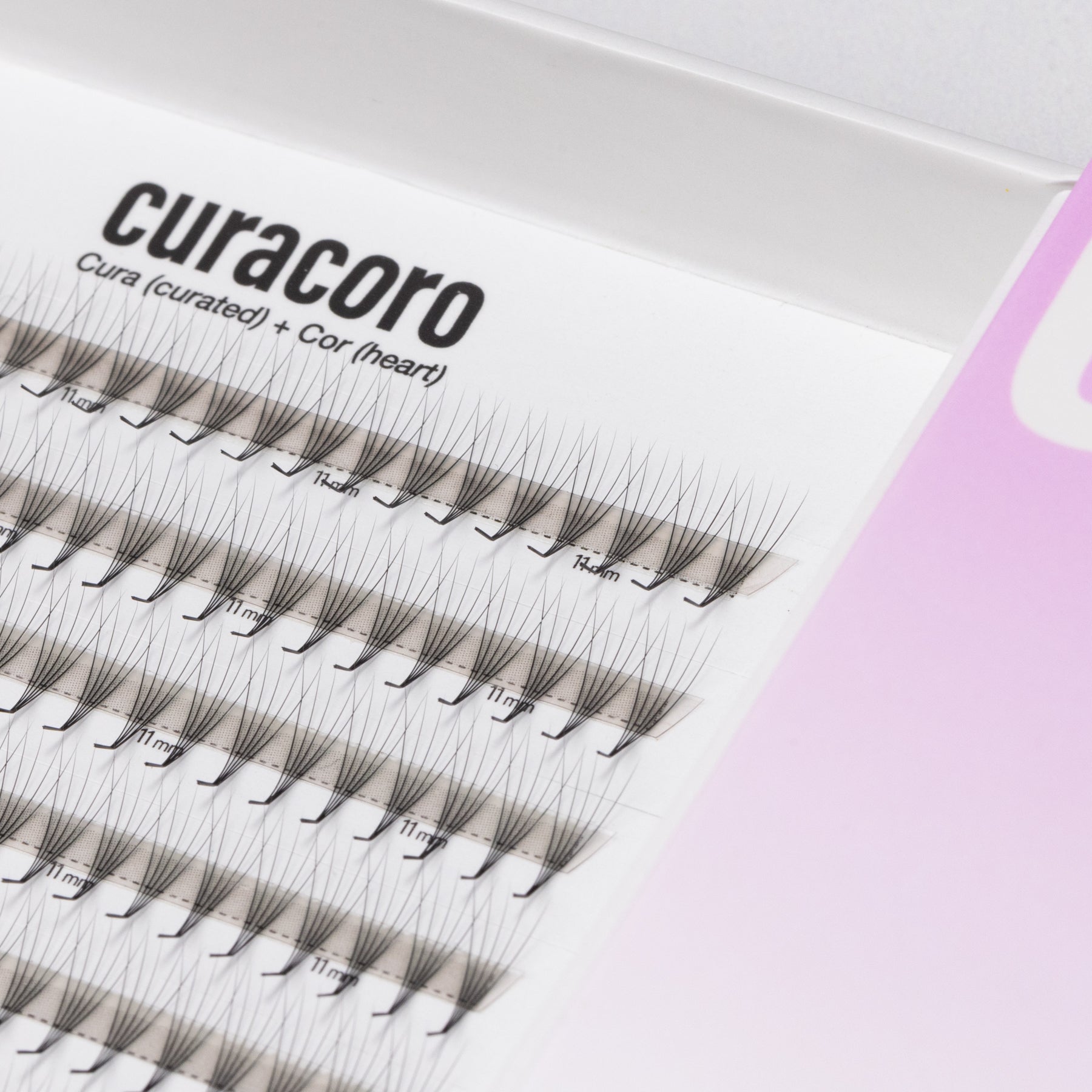 LashFolio Narrow Promade fans 5D 0.07 (LB & LC Curl) (504 fans)