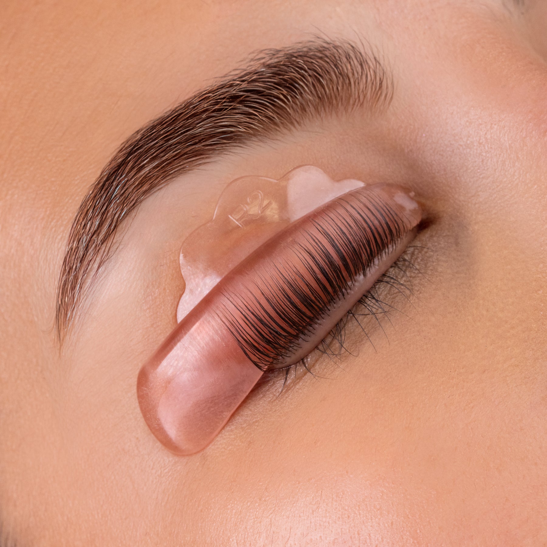 Lash Lift Shields - Peach Kisses