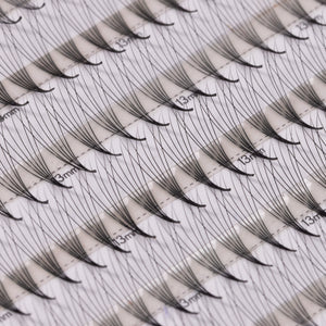 LashFolio Narrow Promade Fans 6D 0.07 (504 fans)
