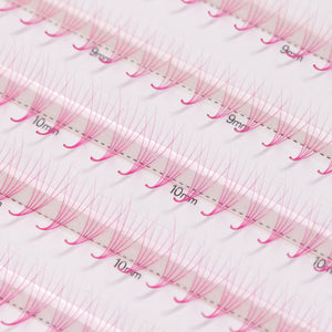 Abanicos estrechos de Promade de Lashfolio en color rosa
