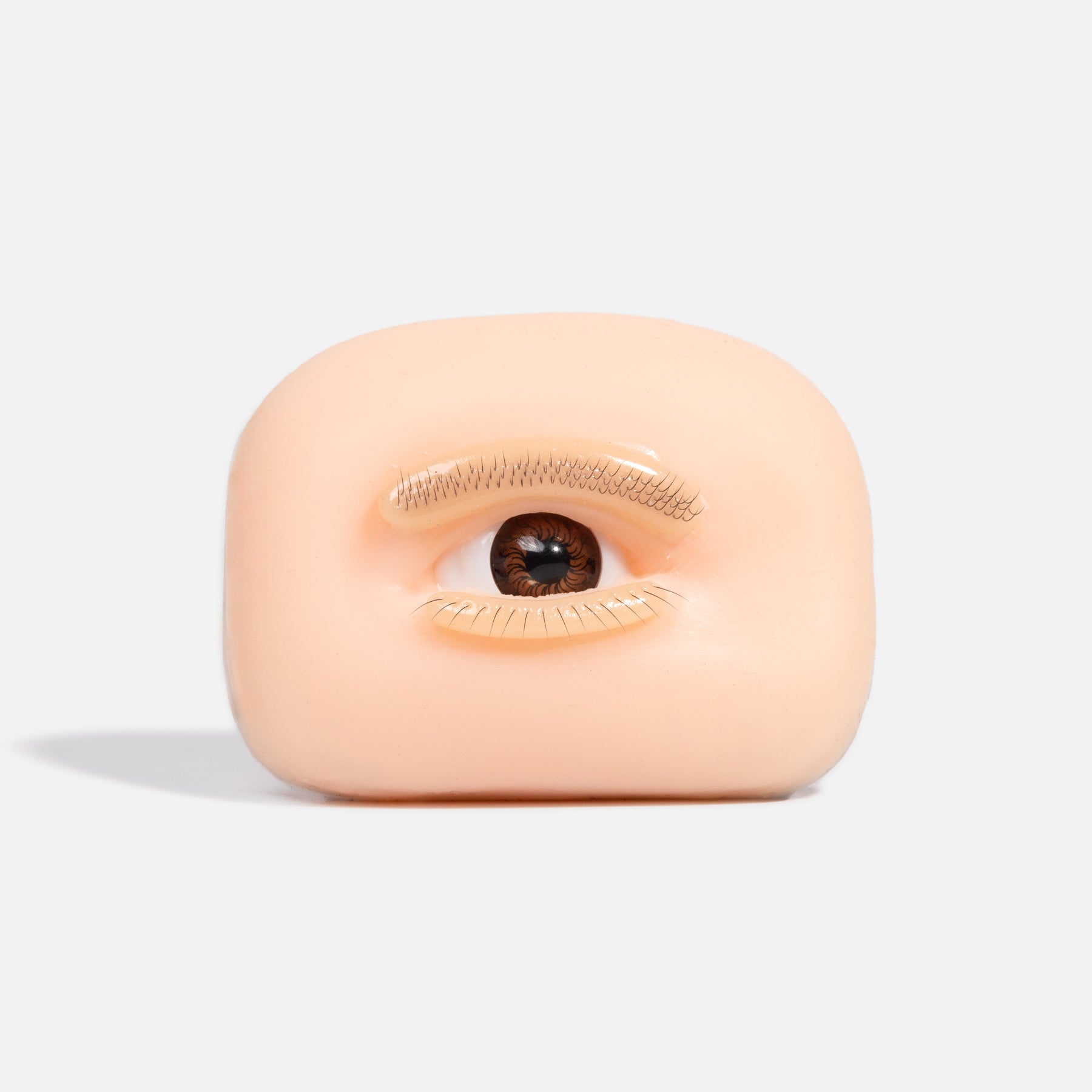 Eye Practice Model for Lash Training | Realistic Eyelash Simulation – Curacoro