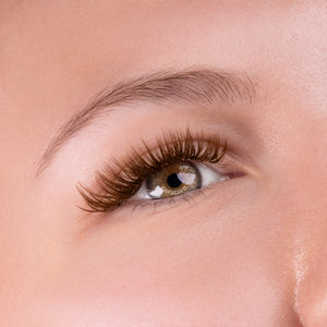 LashFolio Choco Brown Wet Promade 5D 0.07 (1440 fans)