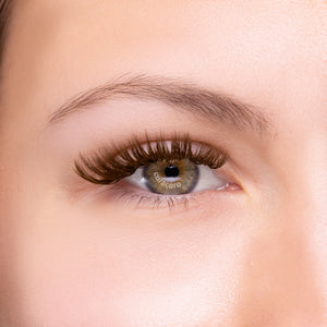 LashFolio Choco Brown Wet Promade 5D 0.07 (1440 fans)