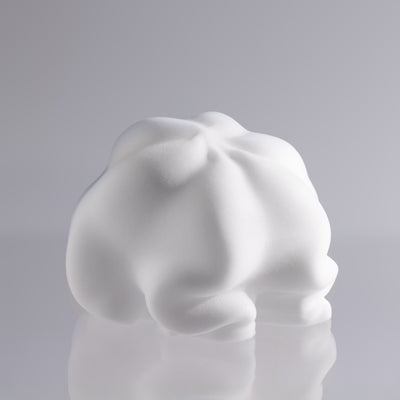 Whipped AF Lash Cleanser 100ml (Unscented)