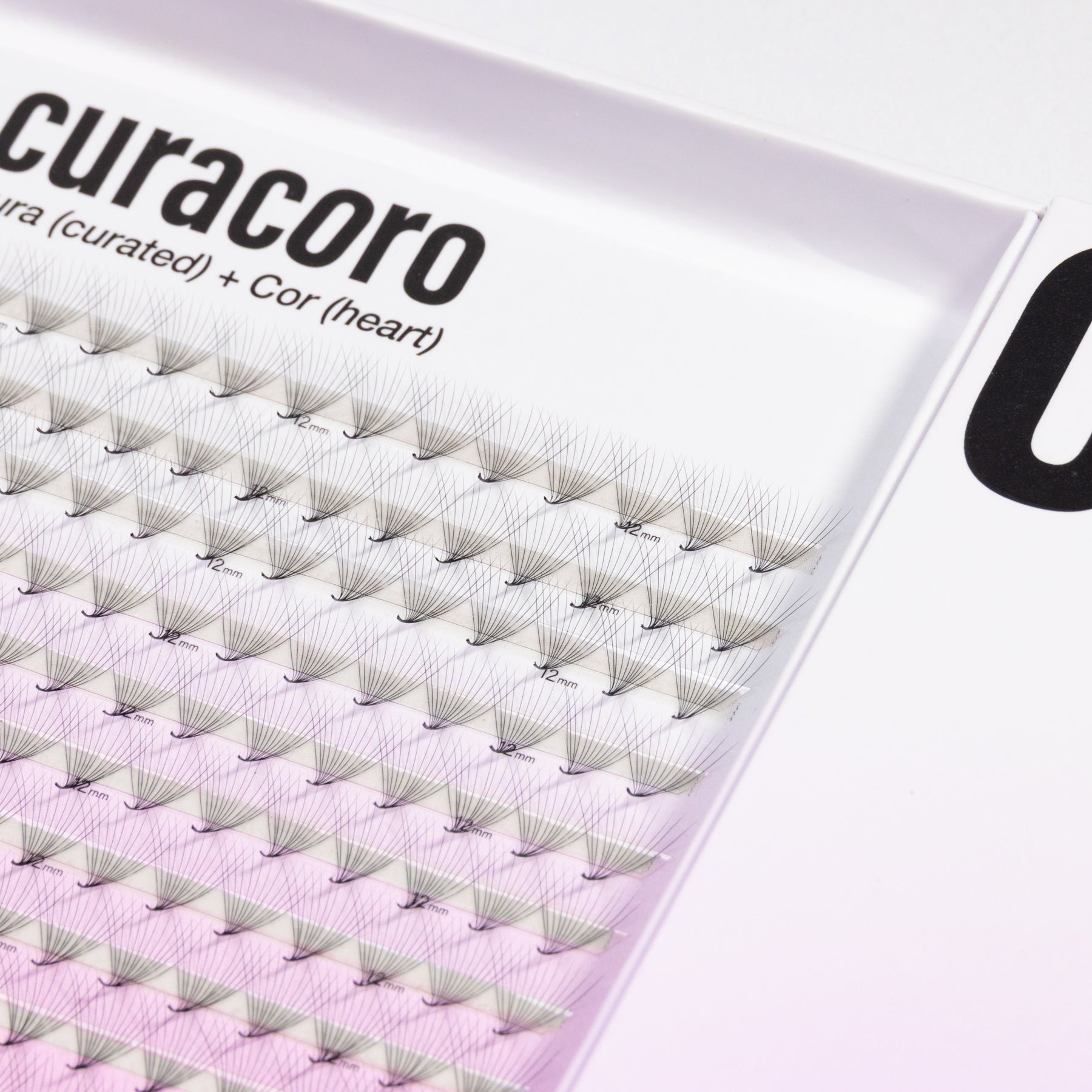 Jumbo Saving XL Promade Tray 12D 0.03 (800 fans)