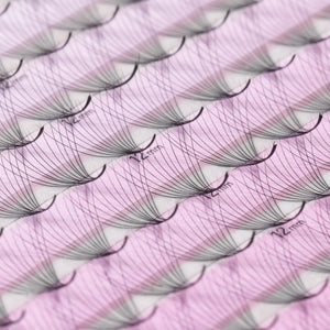 Jumbo Saving XL Promade Tray 12D 0.03 (800 fans)