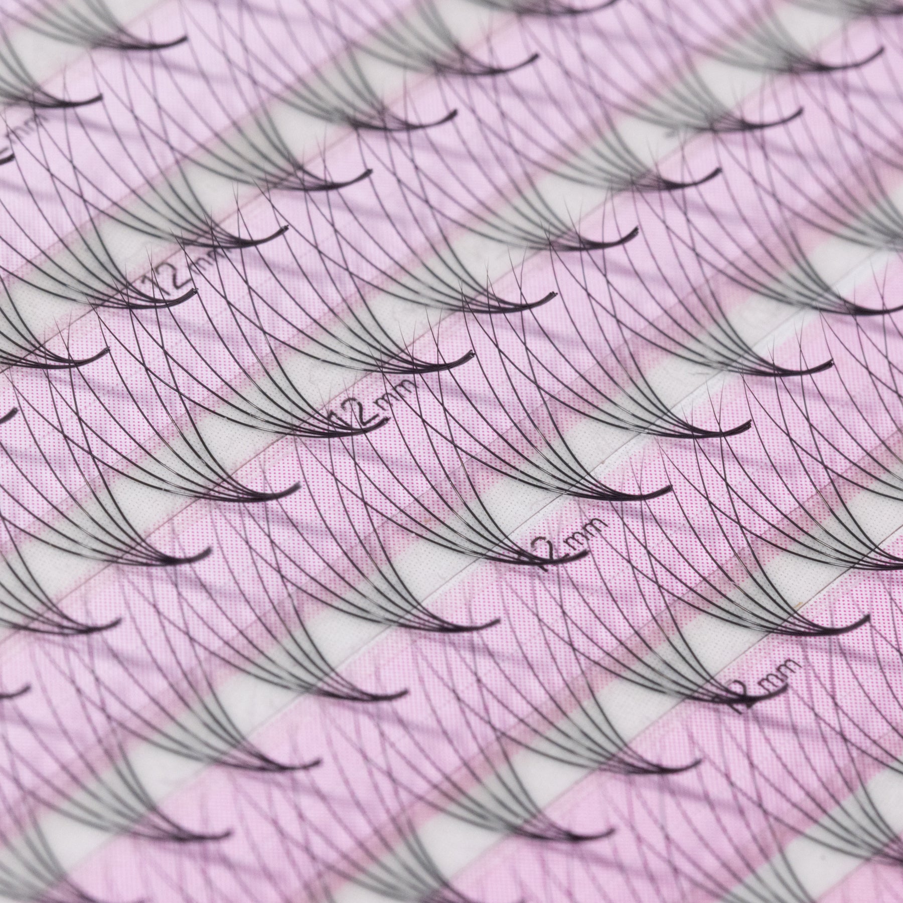 Jumbo Saving XL Promade Tray 6D 0.07 (1,200 fans)