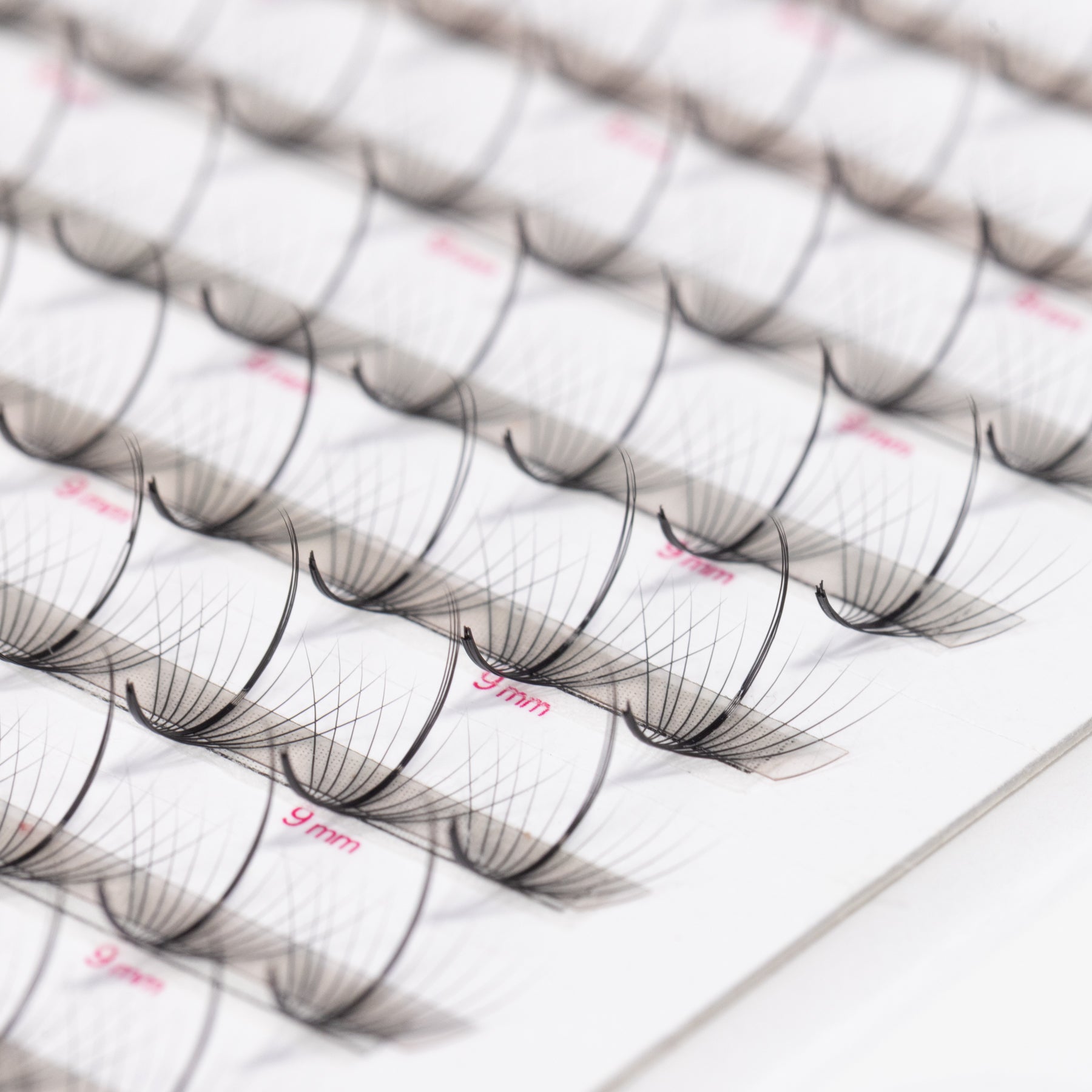 XL Lite Wispy 11D 0.03