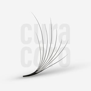 XL Lite Camellia Wide Fans 8D 0.05 (390 fans)