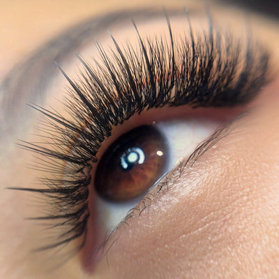 Close-up of a brown eye with wispy black eyelash extensions, highlighting the detailed lash volume and curl.