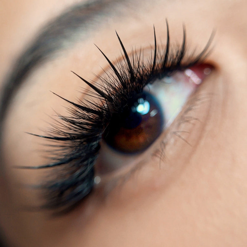 TORONTO - JUNE 7th - Anime & Lash Design Masterclass - In-person Training with Norah Mai (4 spots left)