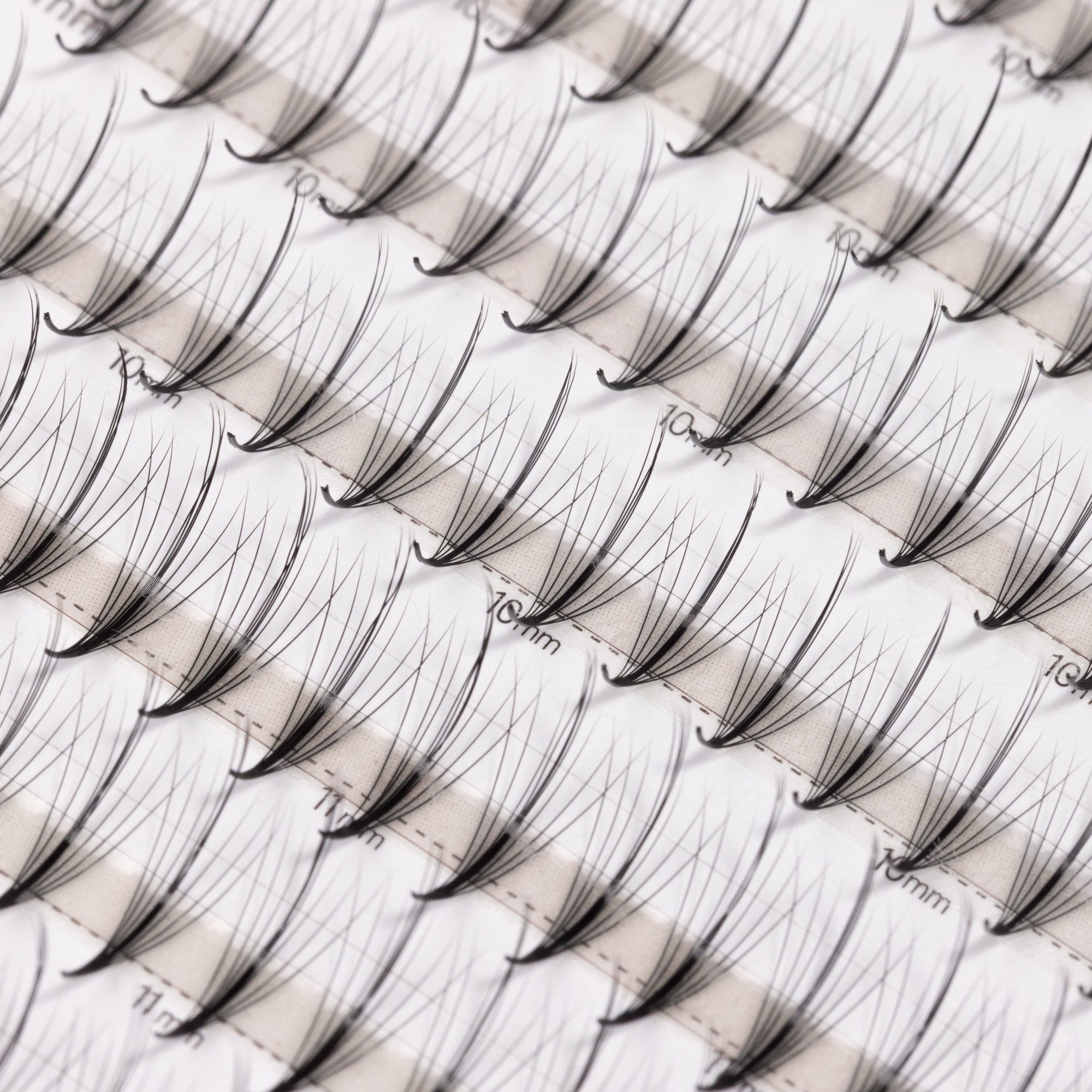 LashFolio Narrow Wispy Spike 7D 0.05 (432 fans)