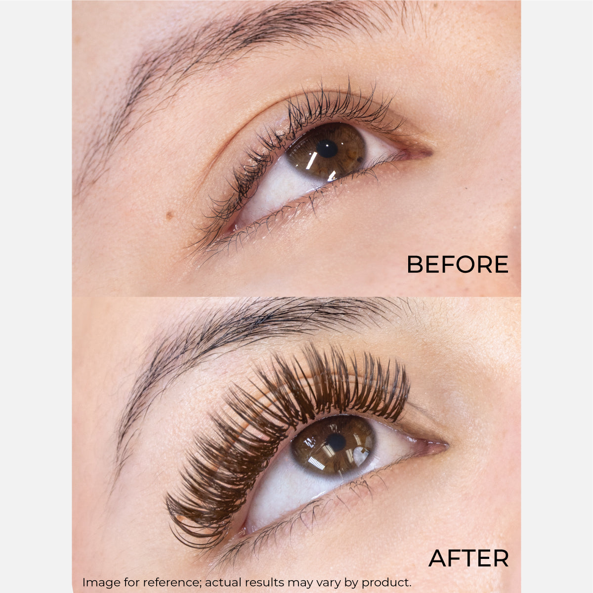 LashFolio Wet Promade 5D 0.05 (Angel Lashes)