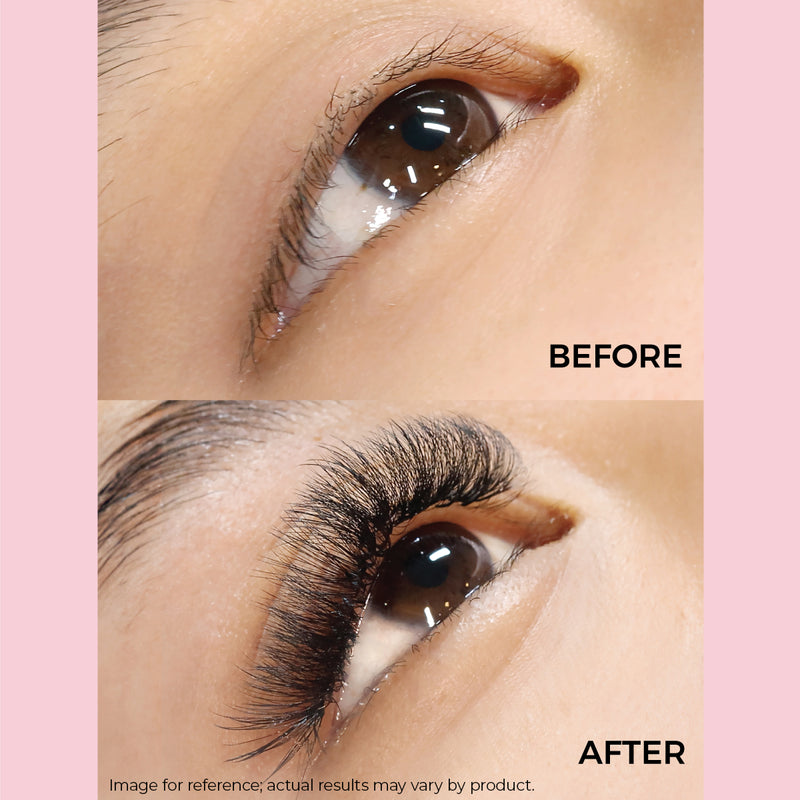 LashFolio Promade Fans 4D 0.07 Model Before & After