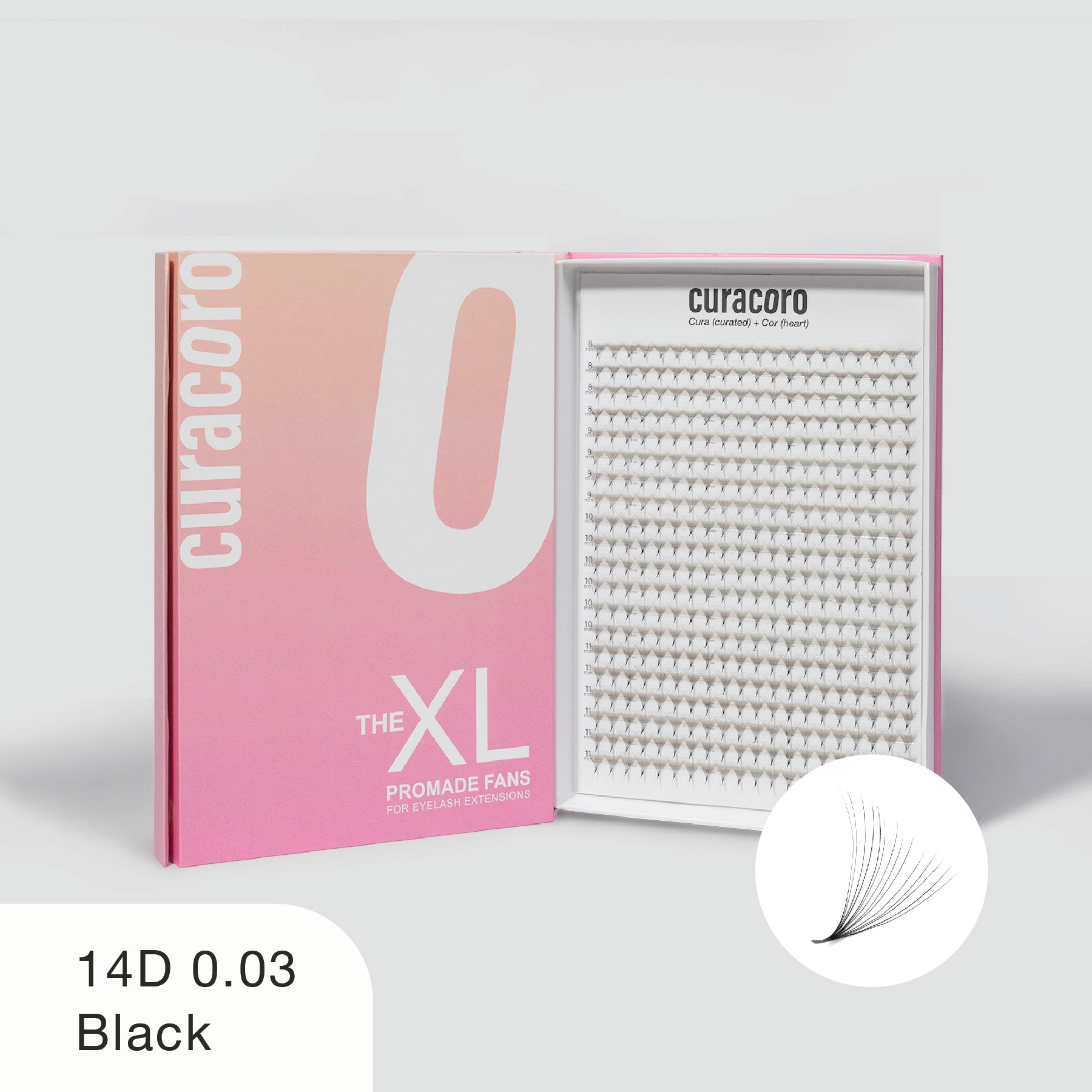 Curacoro XL 14D 0.03 black promade fans in gradient pink box, open to show neatly arranged rows on white background