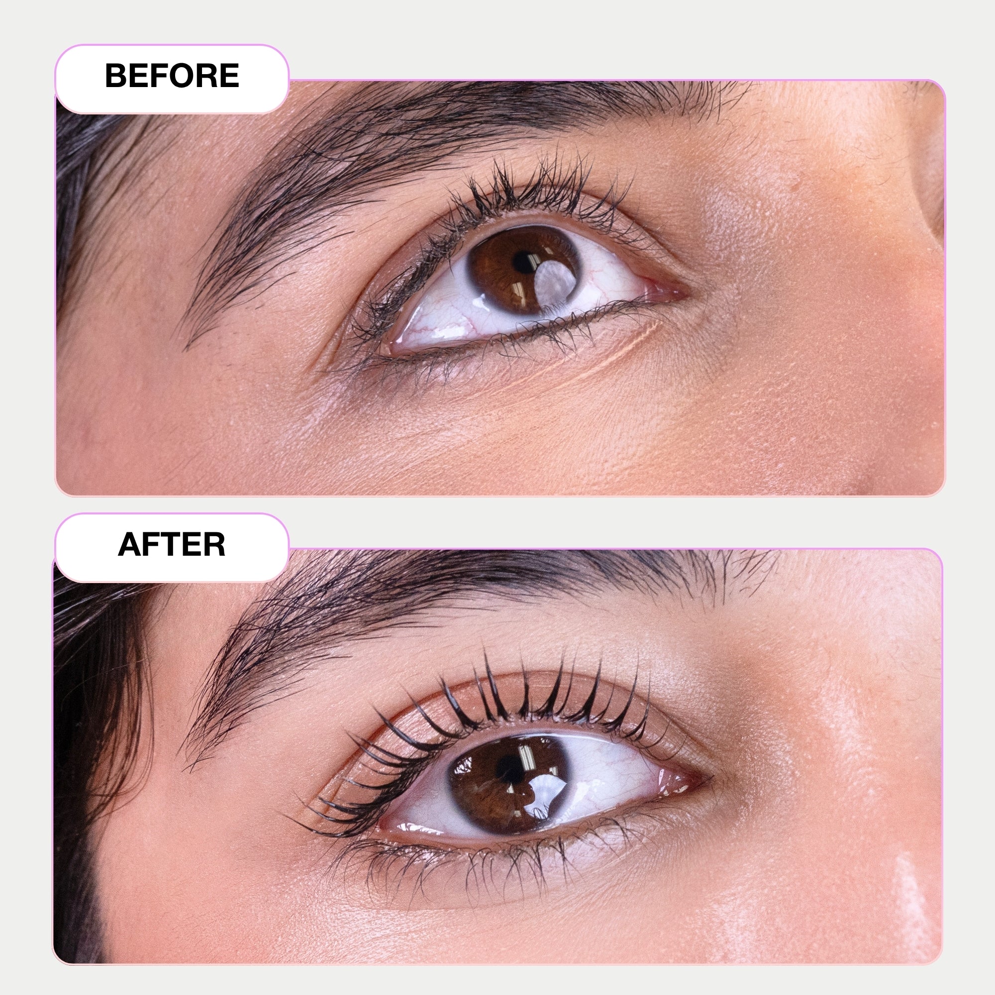 Lash Lift Shields - Sunny Anime