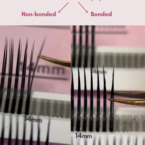 what are camellia easy spikes: bonded and non-bonded