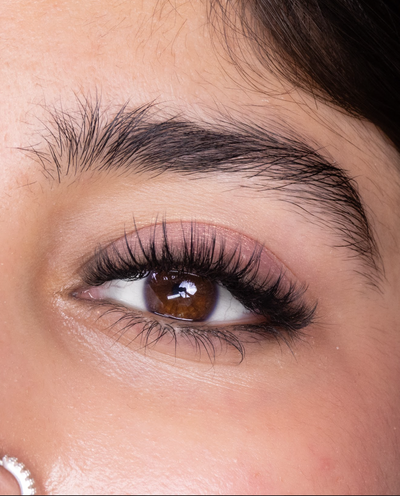 LashFolio Wet Promade 5D 0.05 (Angel Lashes)