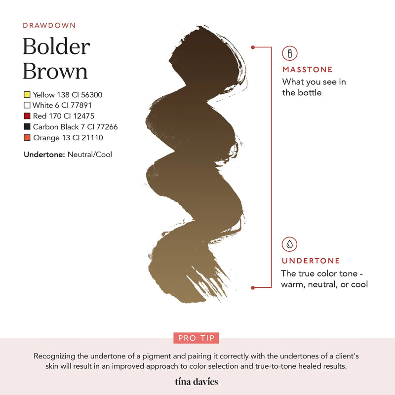 Infographic showing pigment undertones