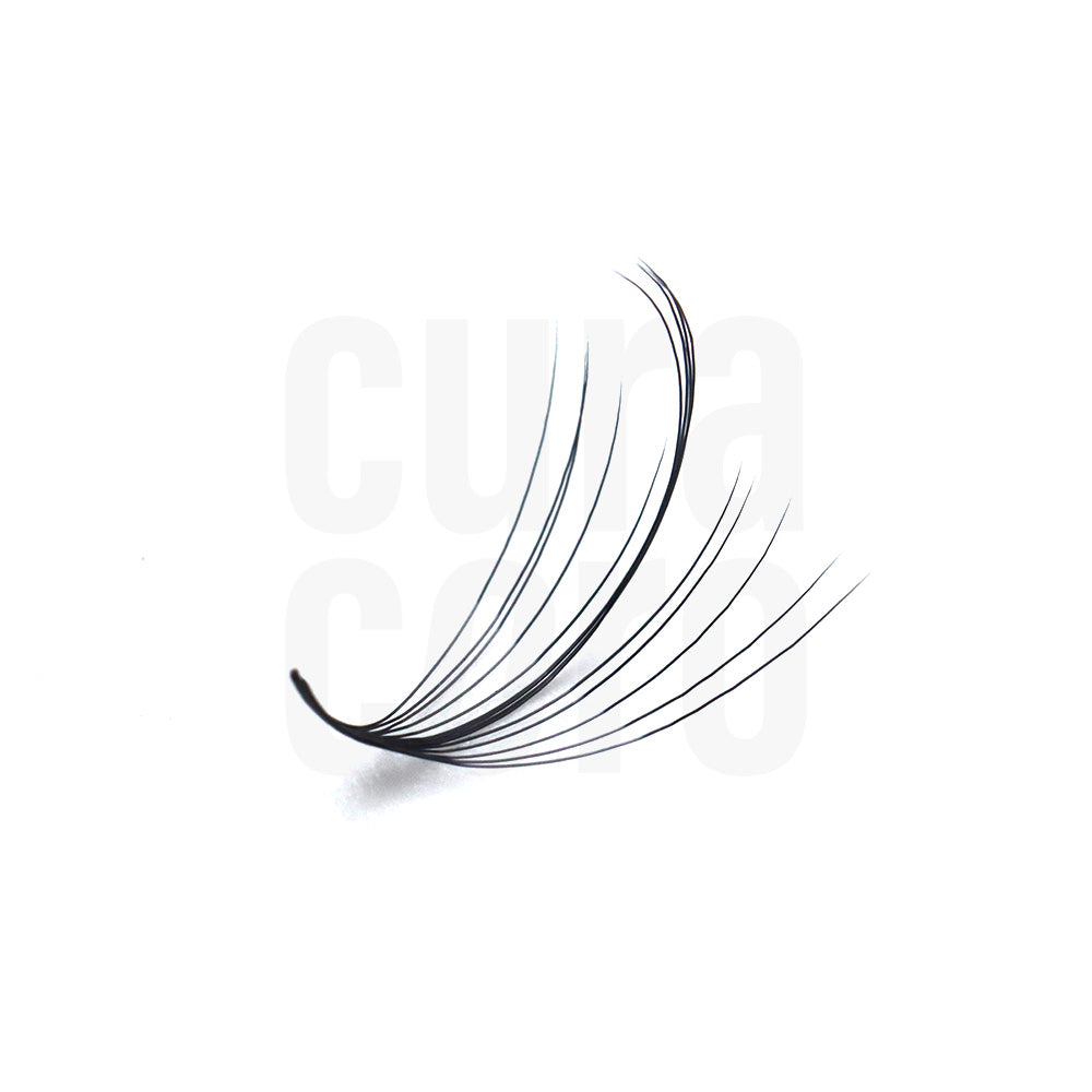 Wispy Promade single fan loose 11D 0.03 close up