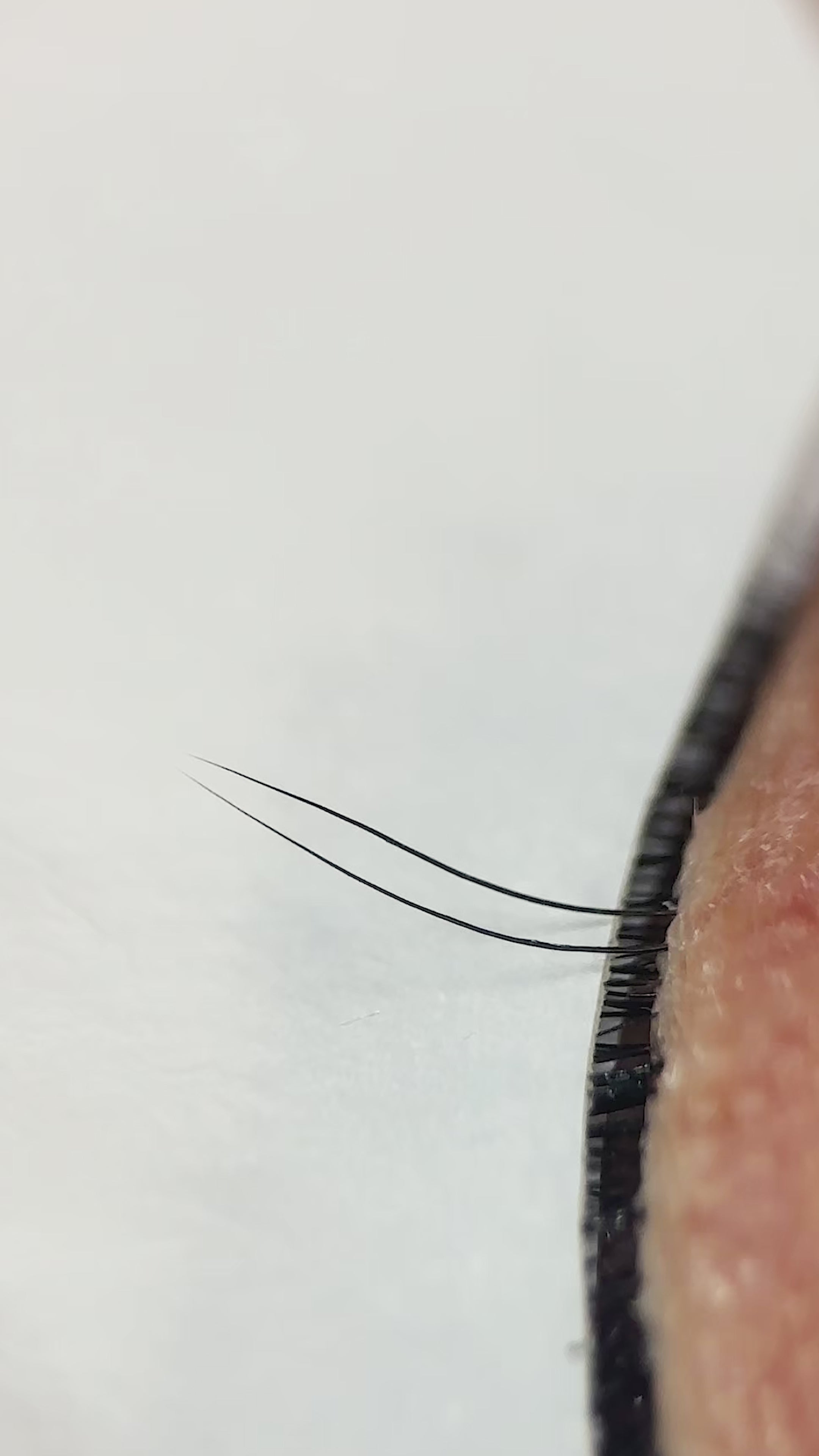 Laser Cut Flat Lashes 