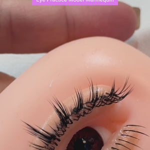 Eye Practice Model