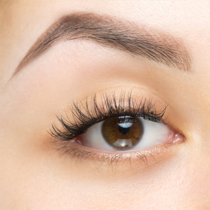 Close-up of an eye showcasing long, voluminous lashes with a natural, soft curl effect, highlighting the application of lash extensions for a fuller look.