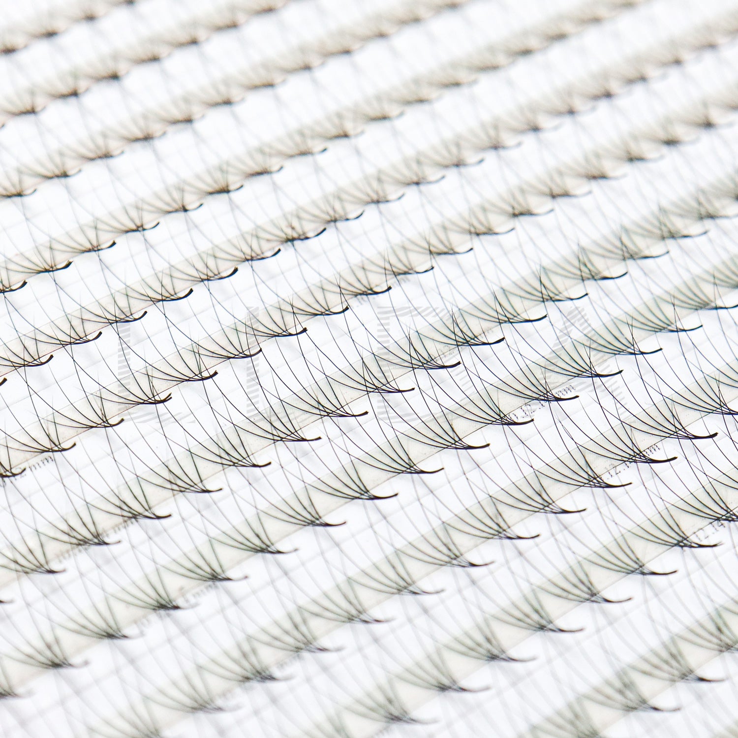 XL promade trays | Camellia mix tray 5D 0.07